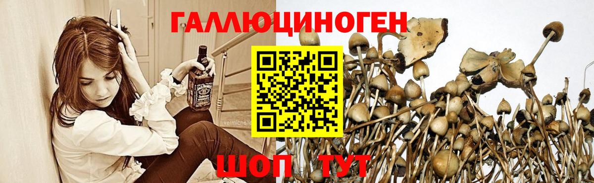 Галлюциногенные грибы Cubensis Ивантеевка